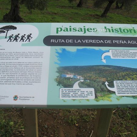 Cortijo "Era Grande 2" Villa Córdoba Eksteriør bilde