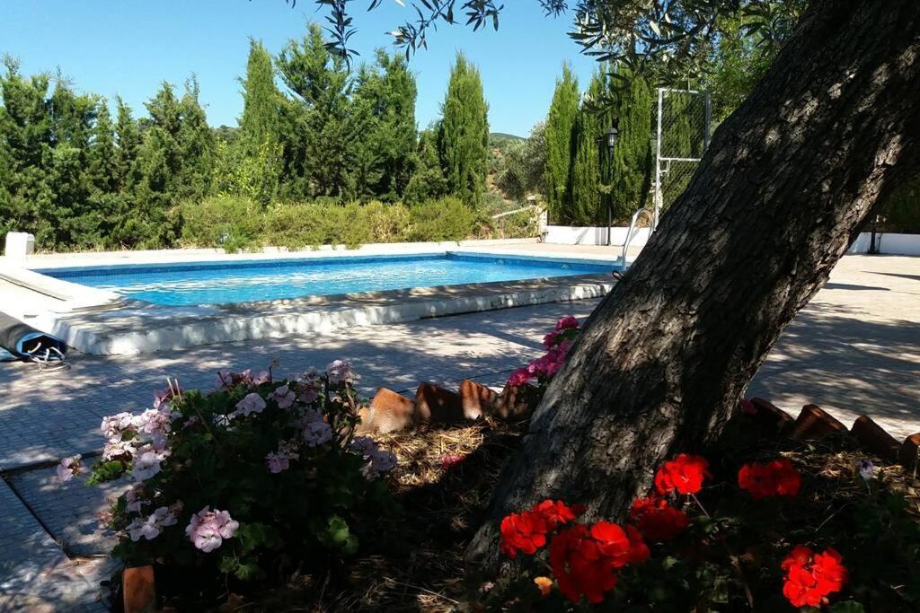 Cortijo "Era Grande 2" Villa Córdoba Eksteriør bilde