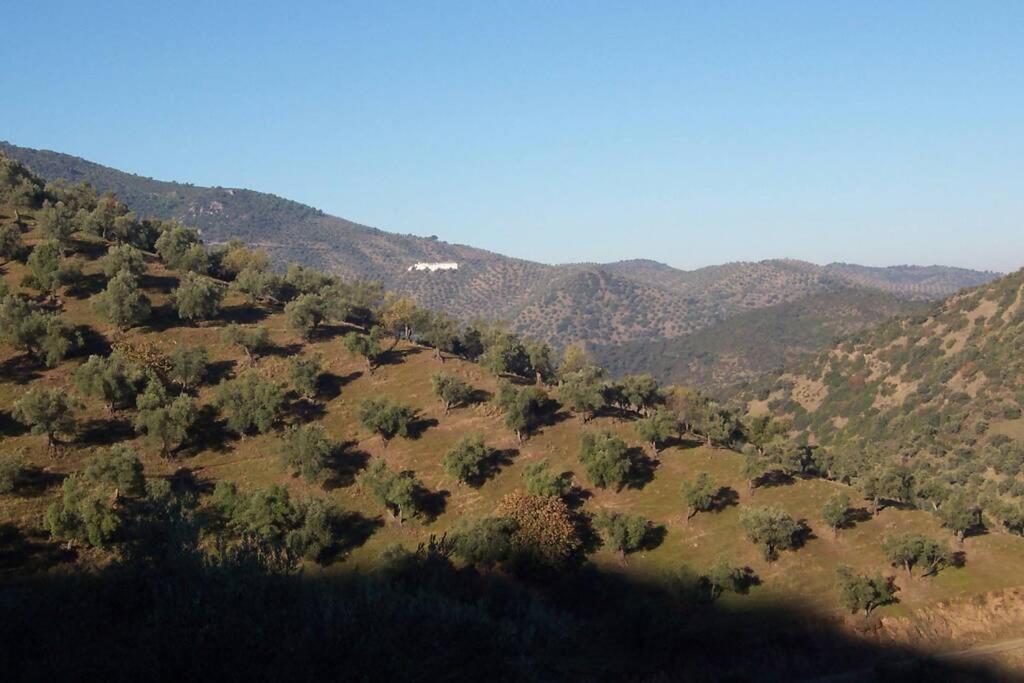 Cortijo "Era Grande 2" Villa Córdoba Eksteriør bilde
