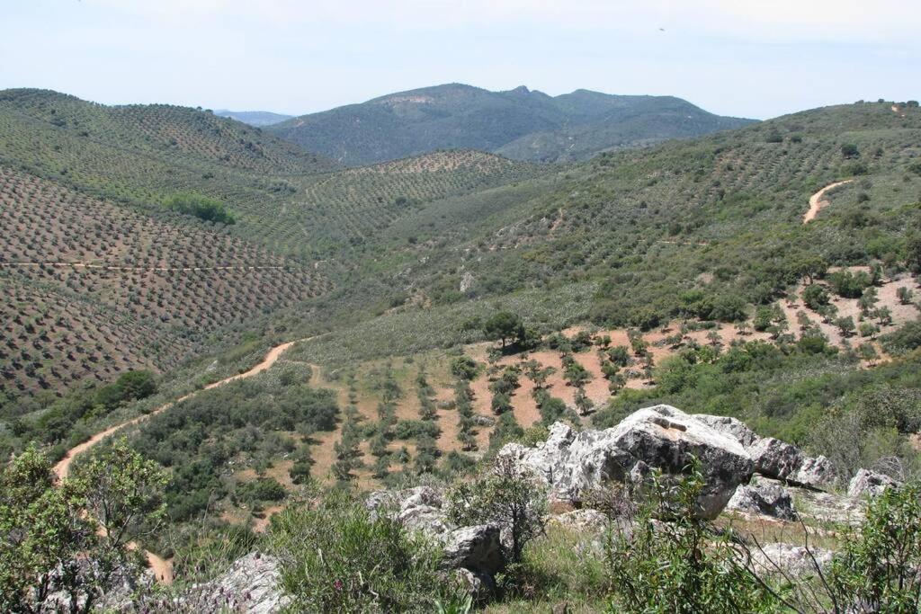 Cortijo "Era Grande 2" Villa Córdoba Eksteriør bilde