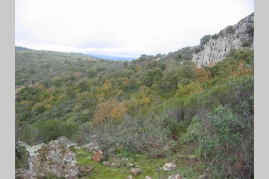 Cortijo "Era Grande 2" Villa Córdoba Eksteriør bilde