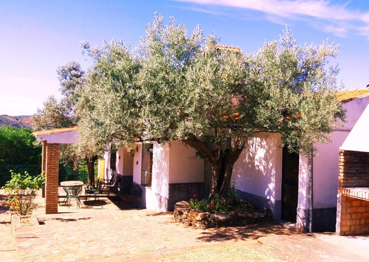 Cortijo "Era Grande 2" Villa Córdoba Eksteriør bilde