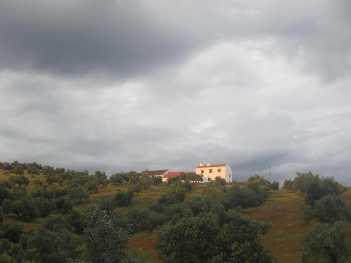 Cortijo "Era Grande 2" Villa Córdoba Eksteriør bilde