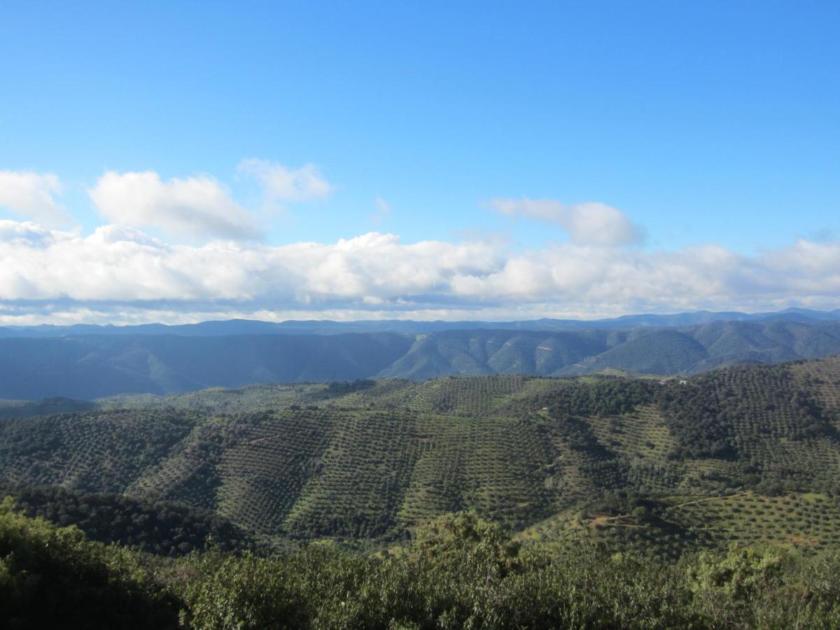Cortijo "Era Grande 2" Villa Córdoba Eksteriør bilde