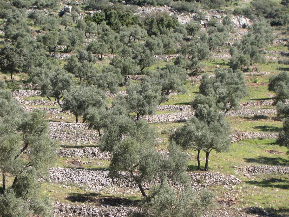 Cortijo "Era Grande 2" Villa Córdoba Eksteriør bilde