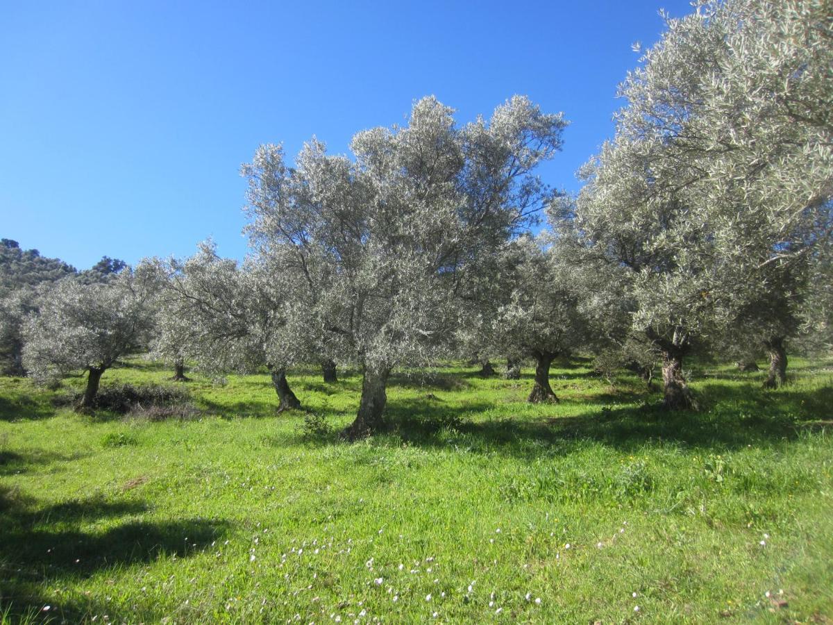 Cortijo "Era Grande 2" Villa Córdoba Eksteriør bilde