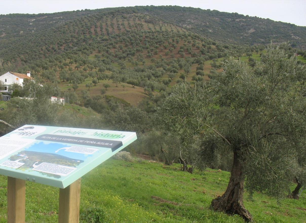 Cortijo "Era Grande 2" Villa Córdoba Eksteriør bilde