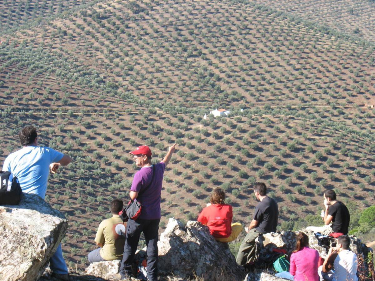 Cortijo "Era Grande 2" Villa Córdoba Eksteriør bilde