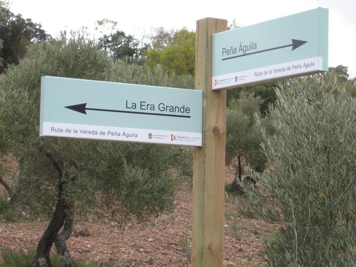 Cortijo "Era Grande 2" Villa Córdoba Eksteriør bilde